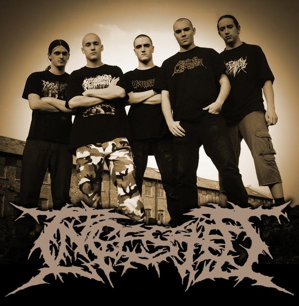 ingested