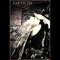 vae victis