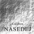 Nasedej