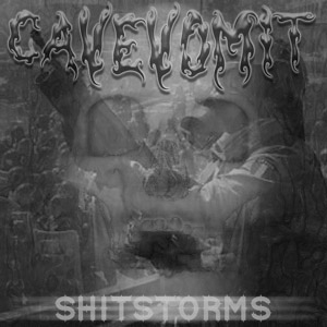 Shitstorms