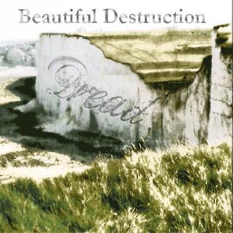 Beautiful Destruction