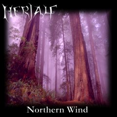 Northern Wind