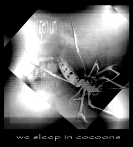 We Sleep in Cocoons
