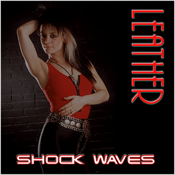 Shock Waves