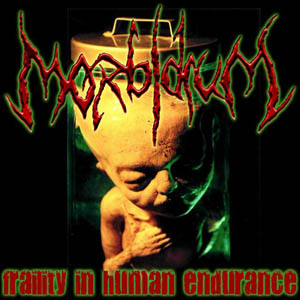 Fraility In Human Endurance