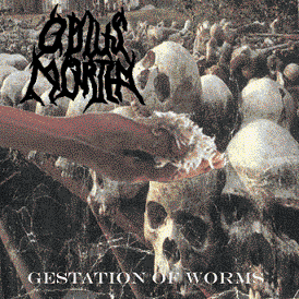 Gestation of Worms