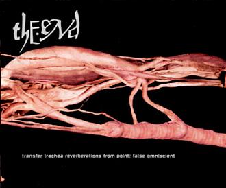 Transfer Trachea Reverberations From Point: False Omniscient